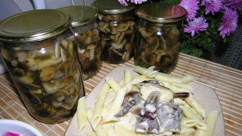 опята маринованные