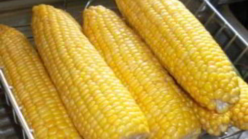 молодая кукуруза на зиму