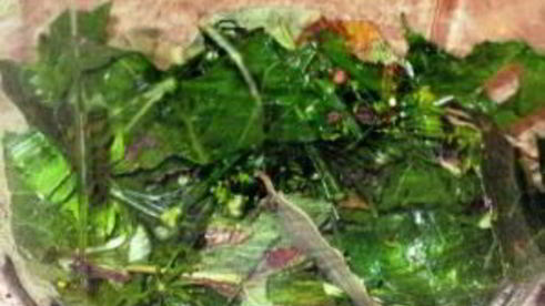 помидоры квашеные