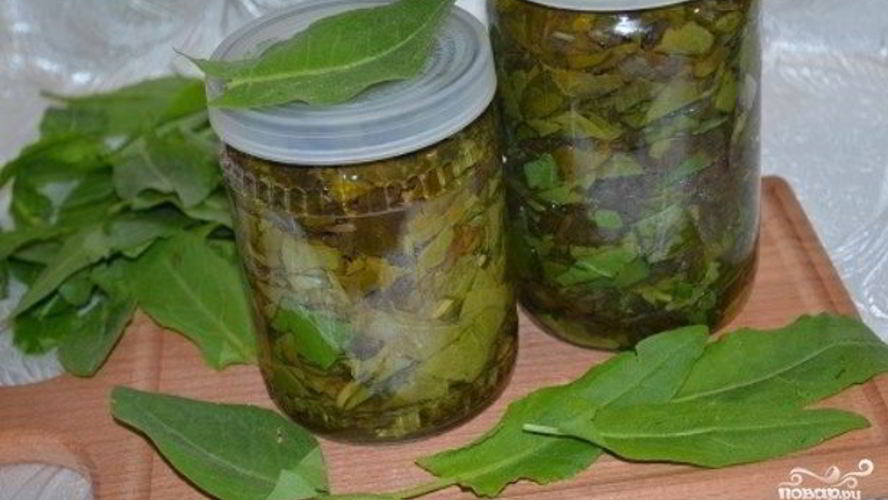 Рецепт щавеля на зиму