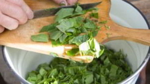 щавель на зиму