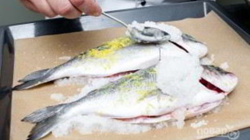 дорада в соли