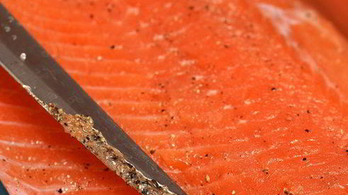 малосольная семга