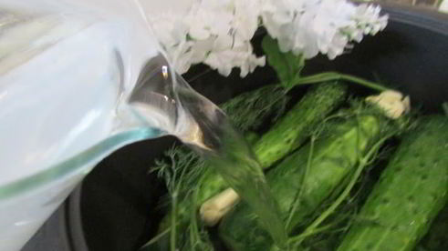 малосольные огурчики в минеральной воде