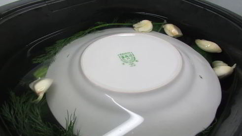 малосольные огурчики в минеральной воде