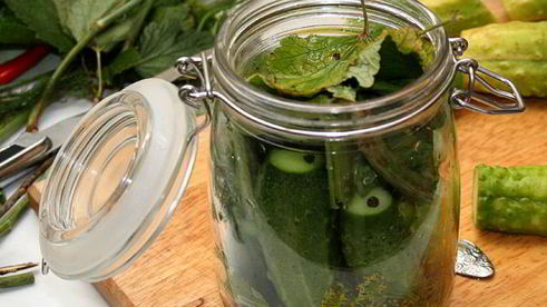 малосольные огурцы холодного засола