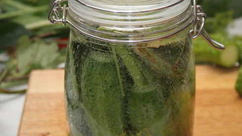 малосольные огурцы холодного засола