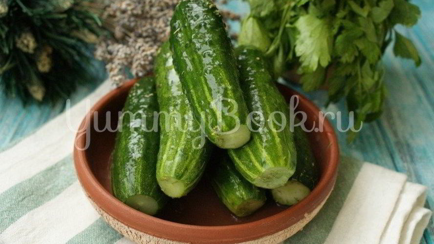 Рецепт малосольных огурцов на минеральной воде
