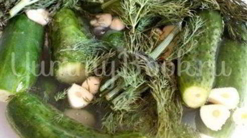 малосольные огурцы на минеральной воде