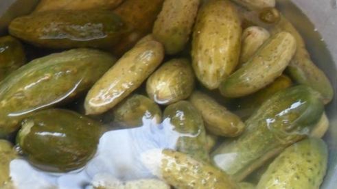 малосольные огурцы на зиму