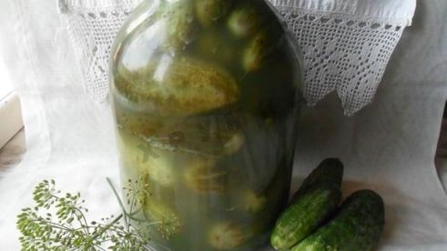 малосольные огурцы на зиму