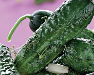 Малосольные огурцы в кастрюле