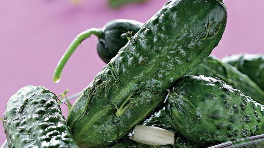 Рецепт малосольных огурцов в кастрюле