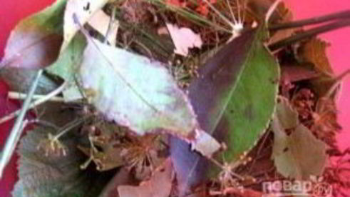 малосольные помидоры с чесноком и зеленью