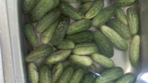 огурцы малосольные с эстрагоном