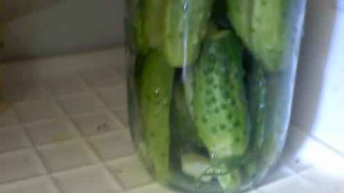 огурцы малосольные с эстрагоном