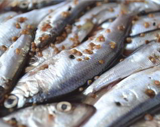 Салака пряного посола