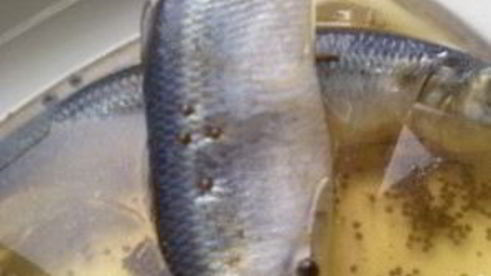 салака пряного посола