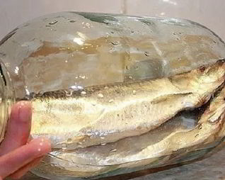 Соленая селедка