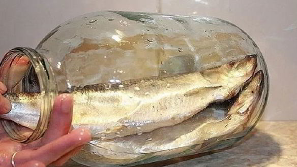 Рецепт Соленой селедки