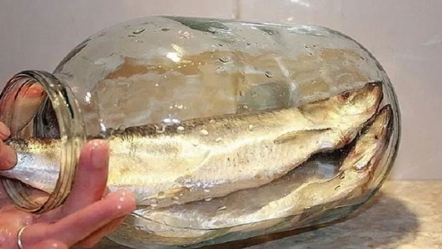 Рецепт соленой селедки