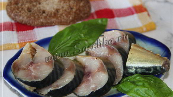 Рецепт Соленой скумбрии