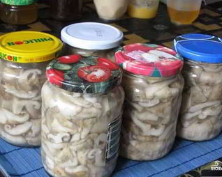 Соленые грузди в банках на зиму