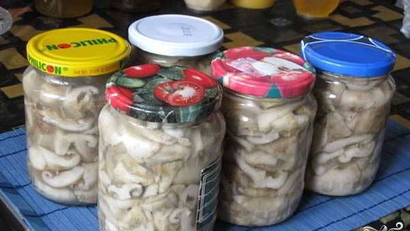 Рецепт Соленых груздей в банках на зиму