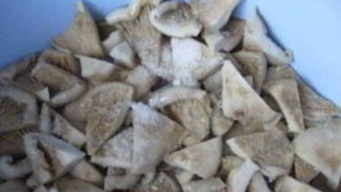 соленые грузди в банках на зиму