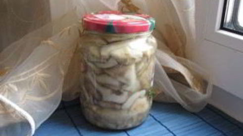 соленые грузди в банках на зиму