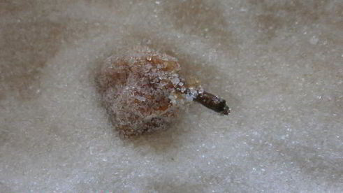 киевское сухое варенье из груш