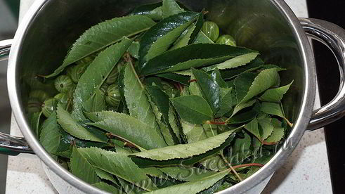 царское варенье из крыжовника