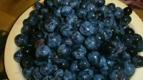 варенье из терна