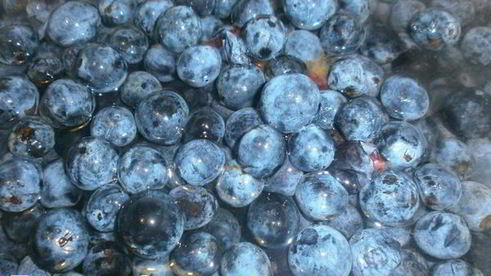 варенье из терна