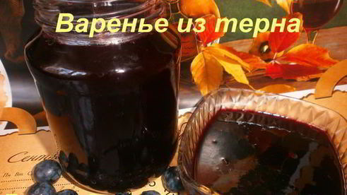 варенье из терна