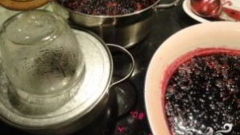 варенье из жимолости