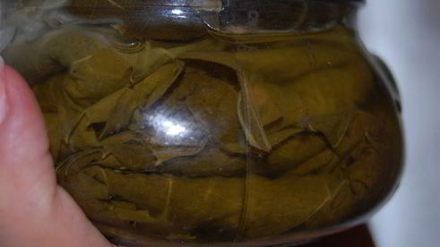 заготовка виноградных листьев