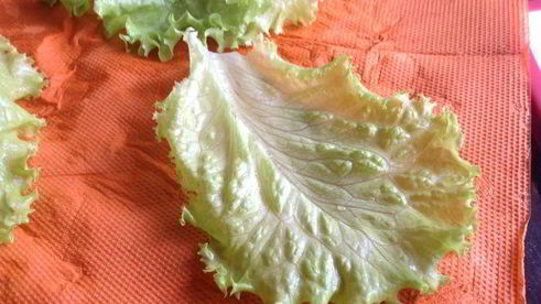 чикенбургер