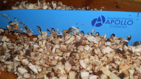 яйца фаршированные с грибами