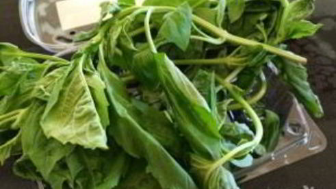 новогодняя закуска капрезе