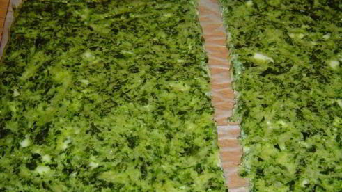 закуска из омлета, сыра и красной рыбы