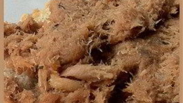 Рецепт Паштета из консервированной рыбы