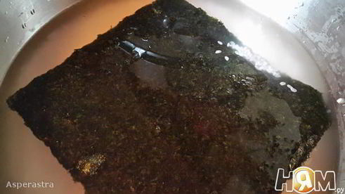 роллы home-made