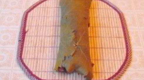 роллы с виноградными листьями