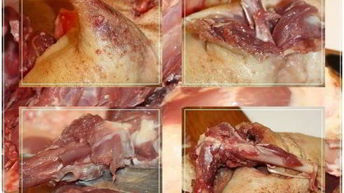 рулет с яблоками и черносливом