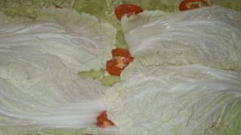 вегетарианские рулеты из лаваша