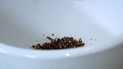 сладкая тортилья с клубникой, малиной и ежевикой