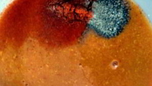 сэндвич барбекю со свининой