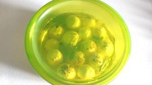 сыр из йогурта