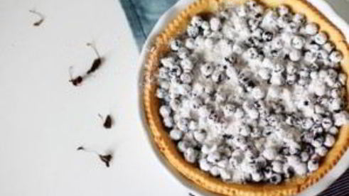 тарт со смородиной и меренгой